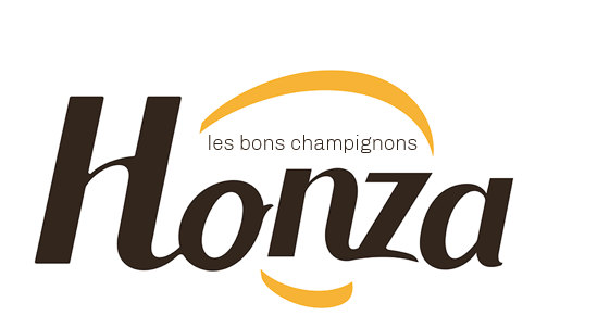 Logo Honza