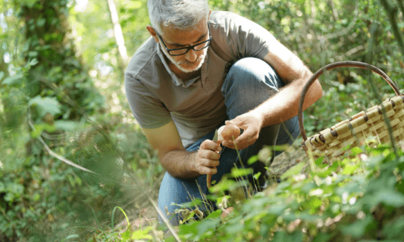 Un homme coupe des champignons