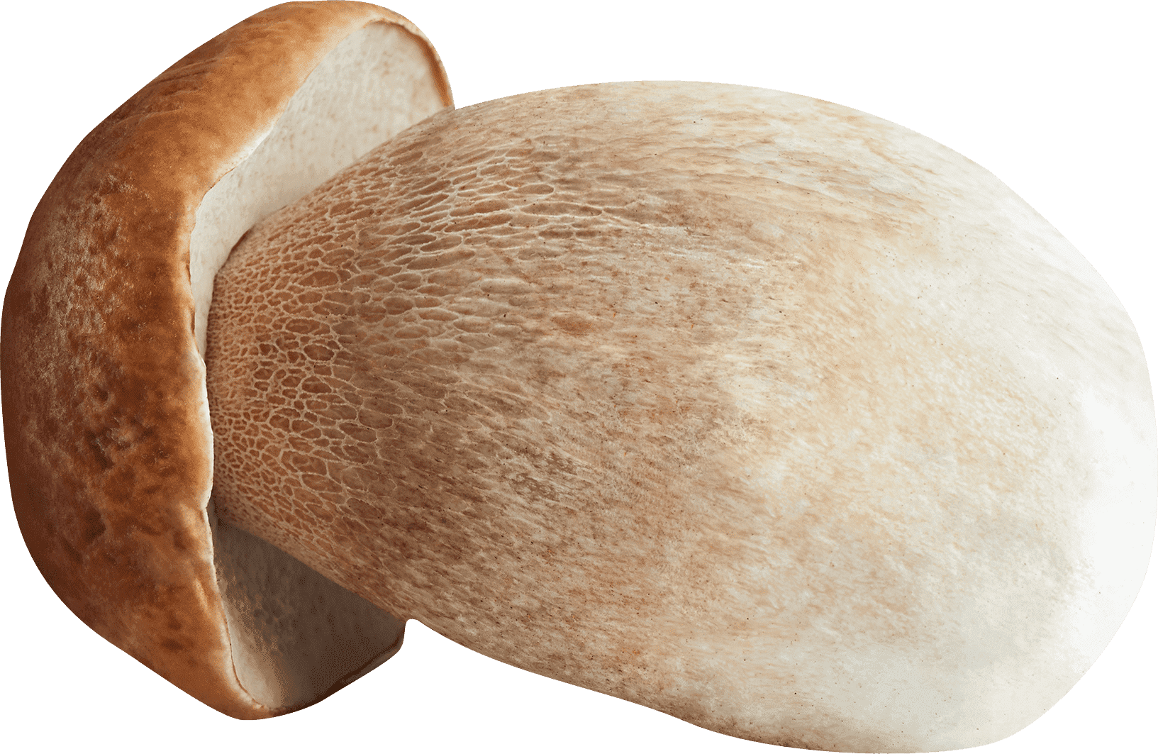 decoration champignon