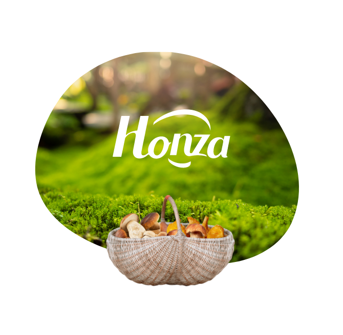Honza avec un panier de champignons