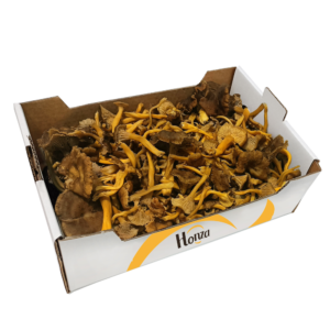 Image produit : Chanterelle grise frais