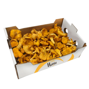 Image produit : Girolle frais