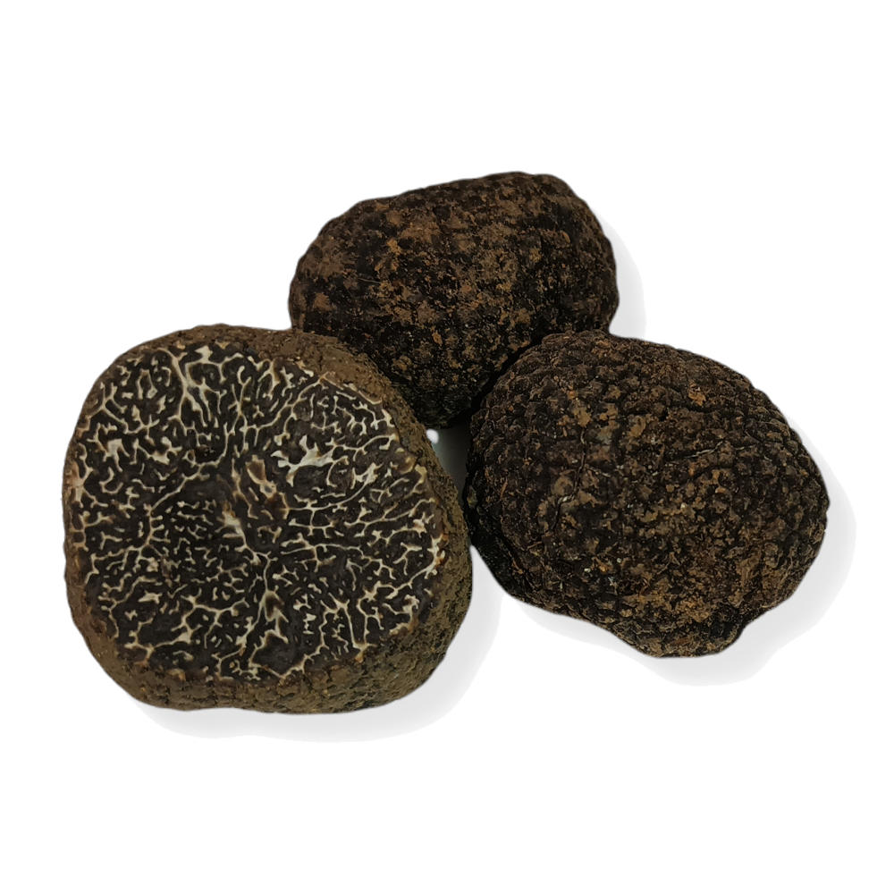 Truffe noir frais